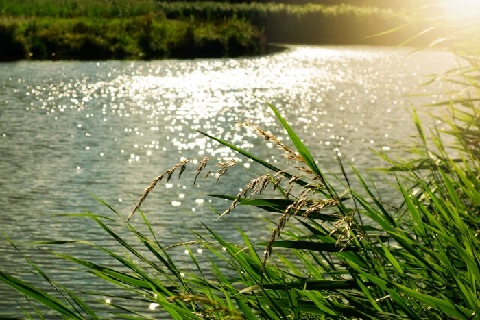 Acqua e Luce